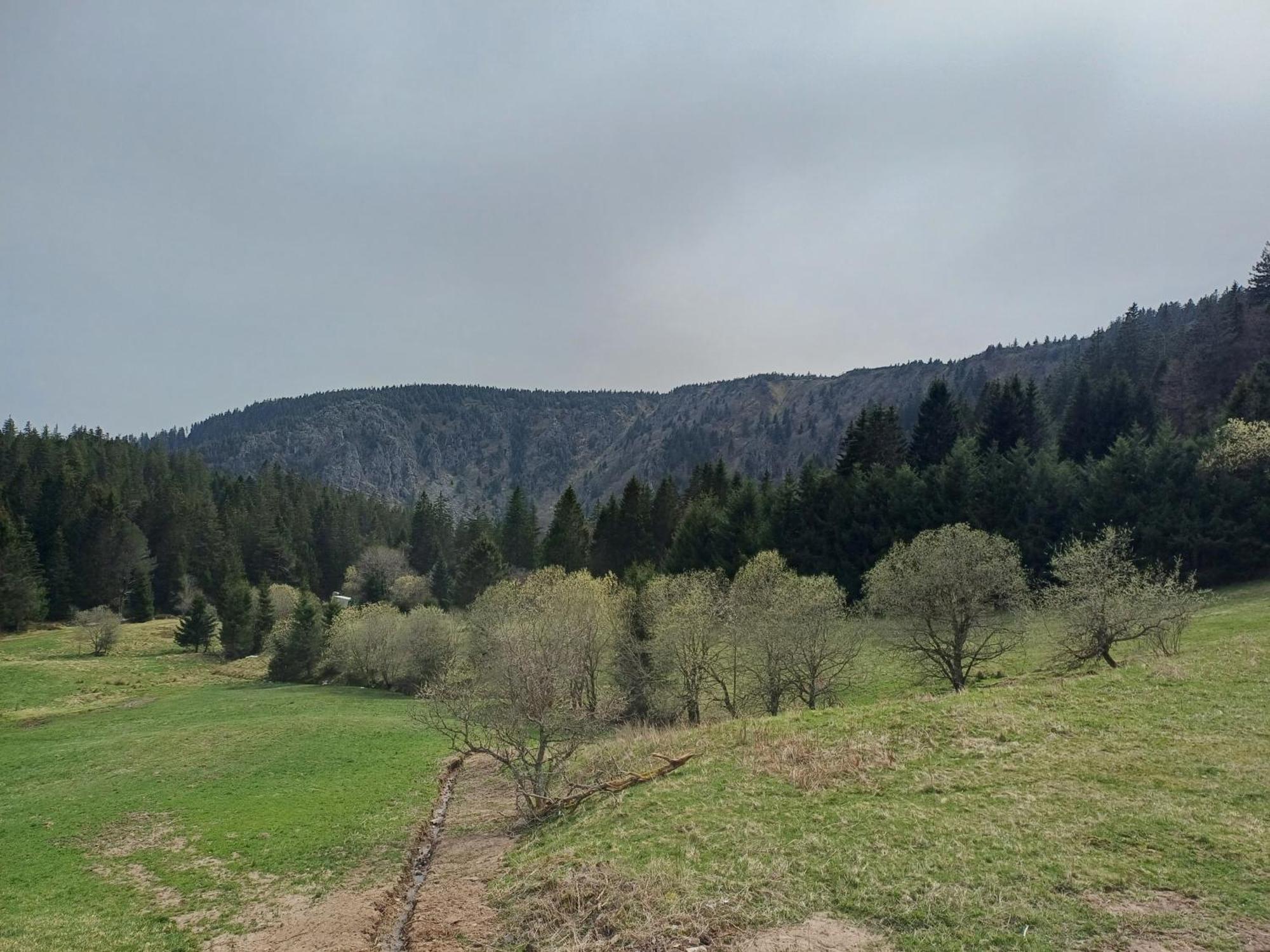 Agreable 3 Pieces Au Lac Blanc Orbey Zewnętrze zdjęcie